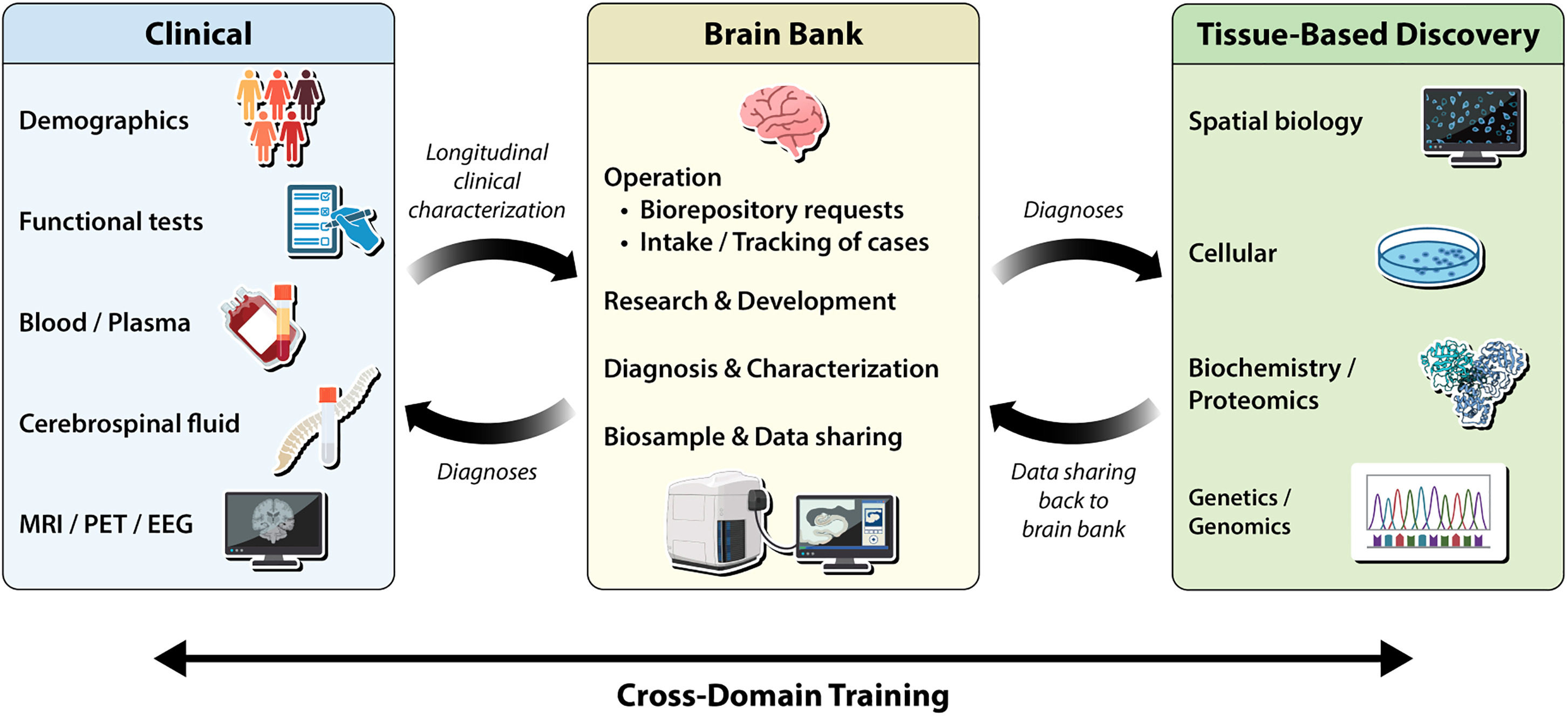 Figure 2. Overview of a brain bank ecosystem